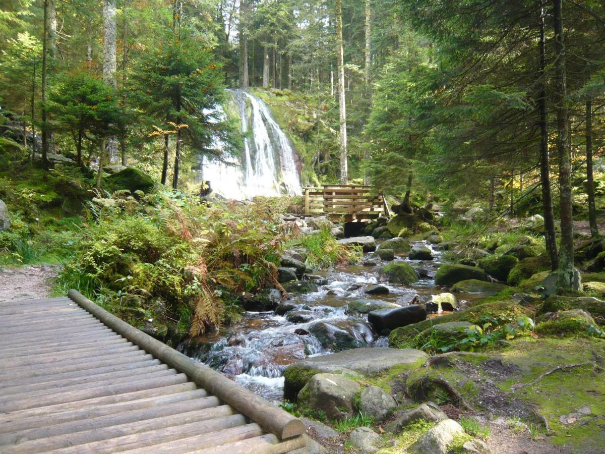 Chalet Les Moraines 8 Le Tholy Zewnętrze zdjęcie