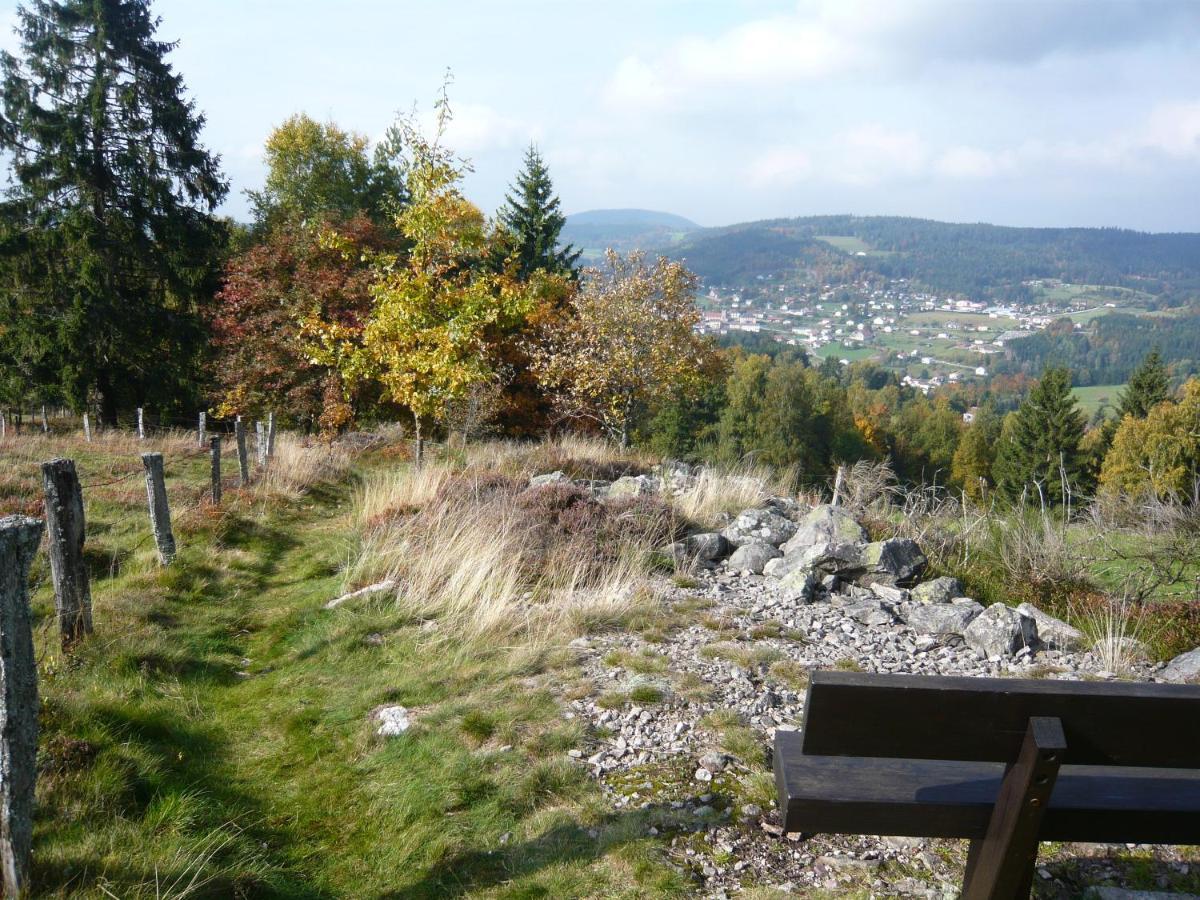 Chalet Les Moraines 8 Le Tholy Zewnętrze zdjęcie